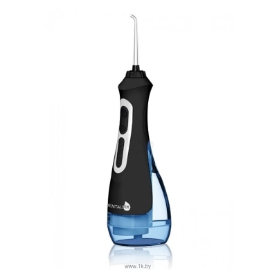 Dentalpik Pro 21