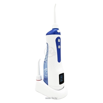 Dentalpik Pro 70