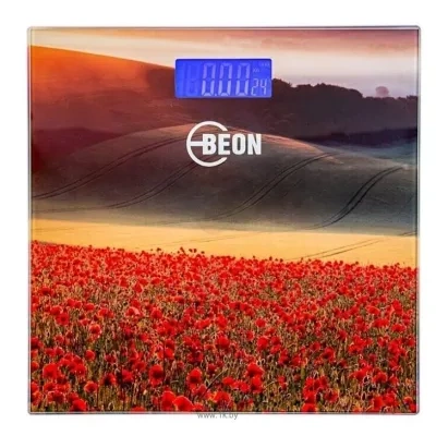 Beon BN-110