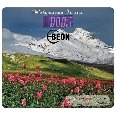 Beon BN-1106