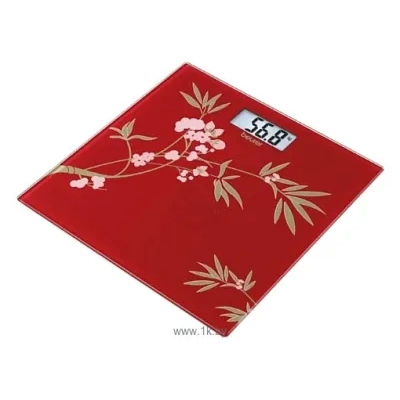 Beurer GS 27 Chinese Spring