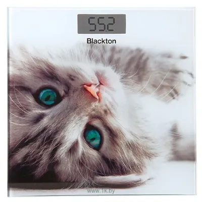 Blackton Bt BS1012