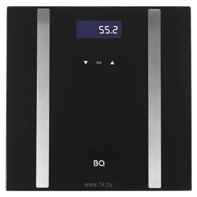 BQ BS1013
