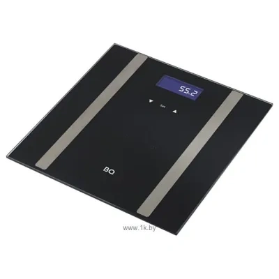 BQ BS1013