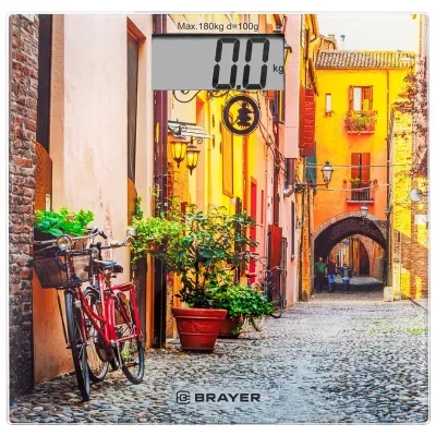BRAYER BR3730