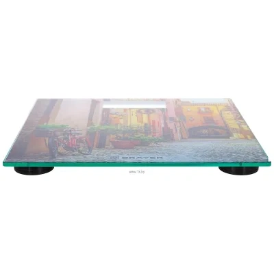 BRAYER BR3730