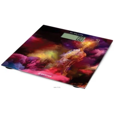 BRAYER BR3732