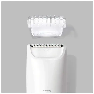 Braun BS1000