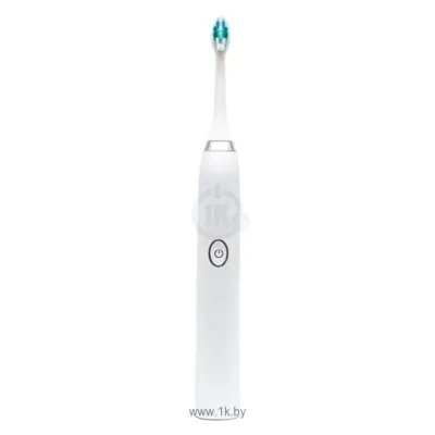 Dentalpik Pro 10
