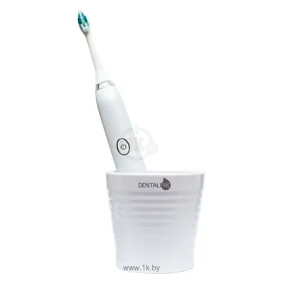 Dentalpik Pro 10