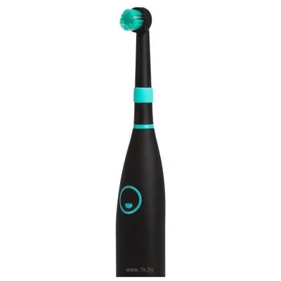HAPPYBRUSH 244525