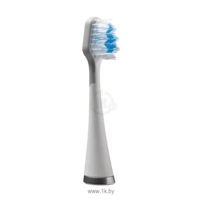 WaterPik ST-01