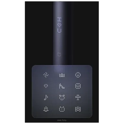 Xiaomi Electric Toothbrush T700 MES604 (mejdunarodnaya versiya, temno-siniy)