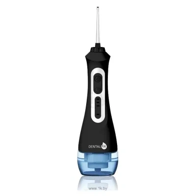 Dentalpik Pro 21