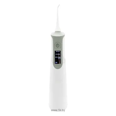 Dentalpik Pro 60