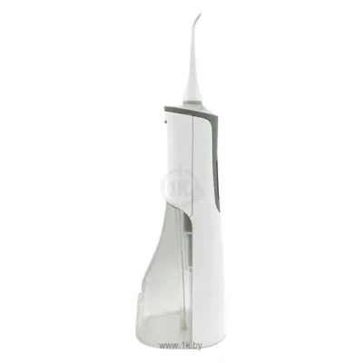 Dentalpik Pro 60